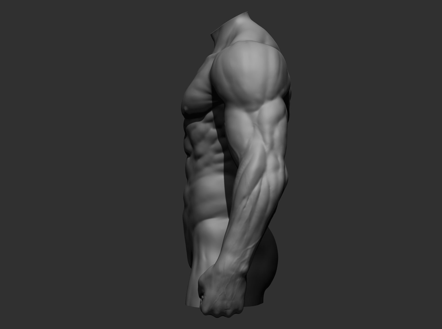 Torsos male torso Free 3D model_15