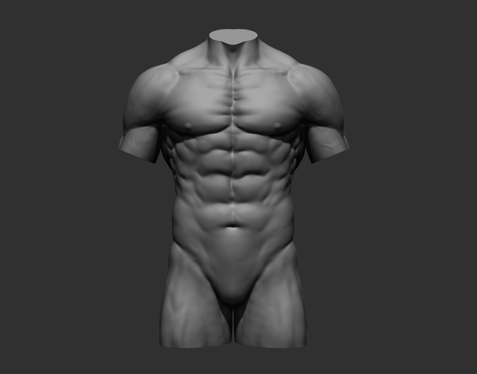 Torsos male torso Free 3D model_18