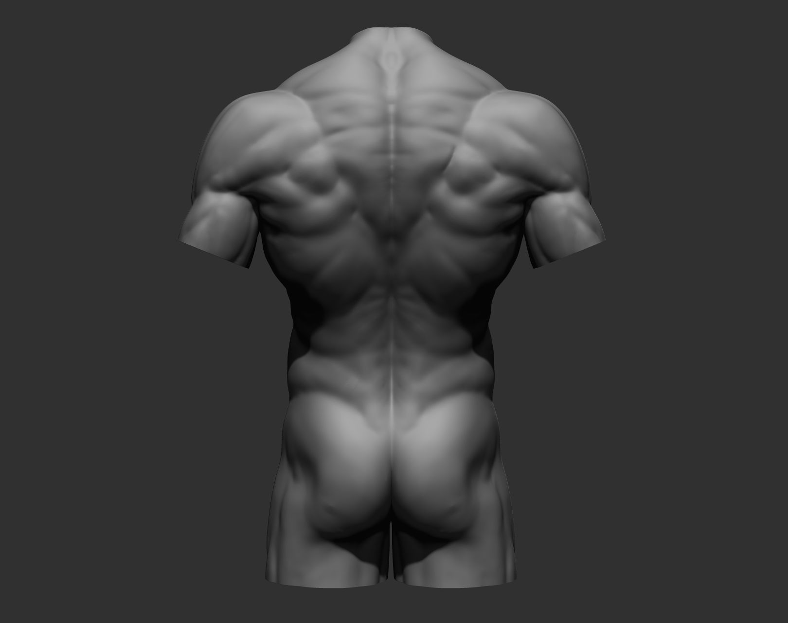 Torsos male torso Free 3D model_21