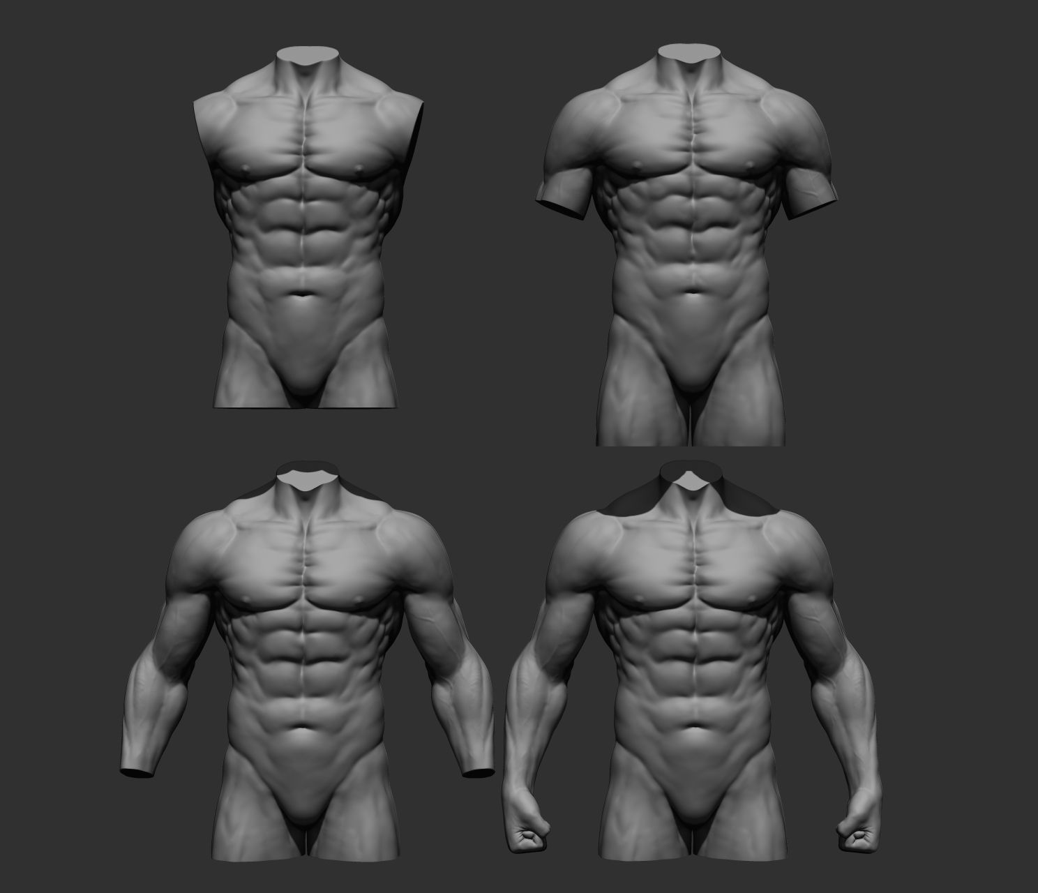 Torsos male torso Free 3D model_2