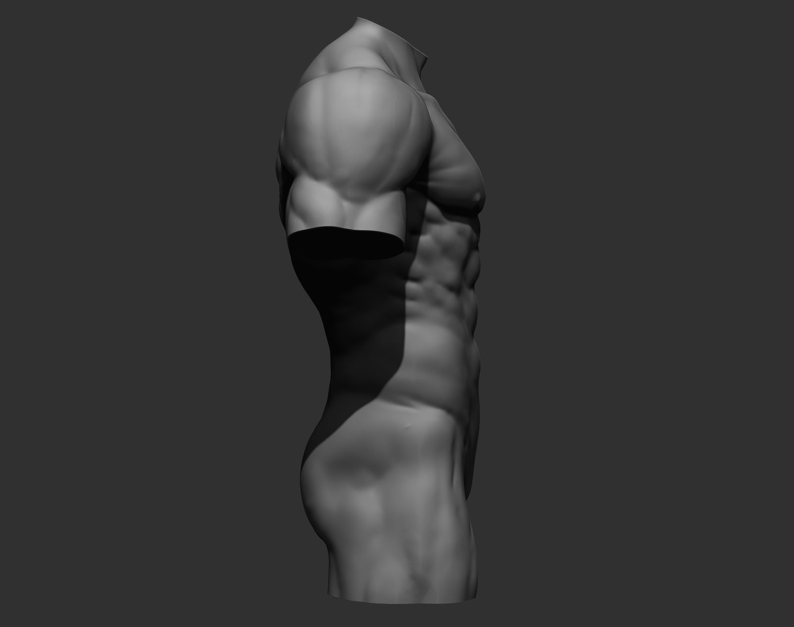 Torsos male torso Free 3D model_23