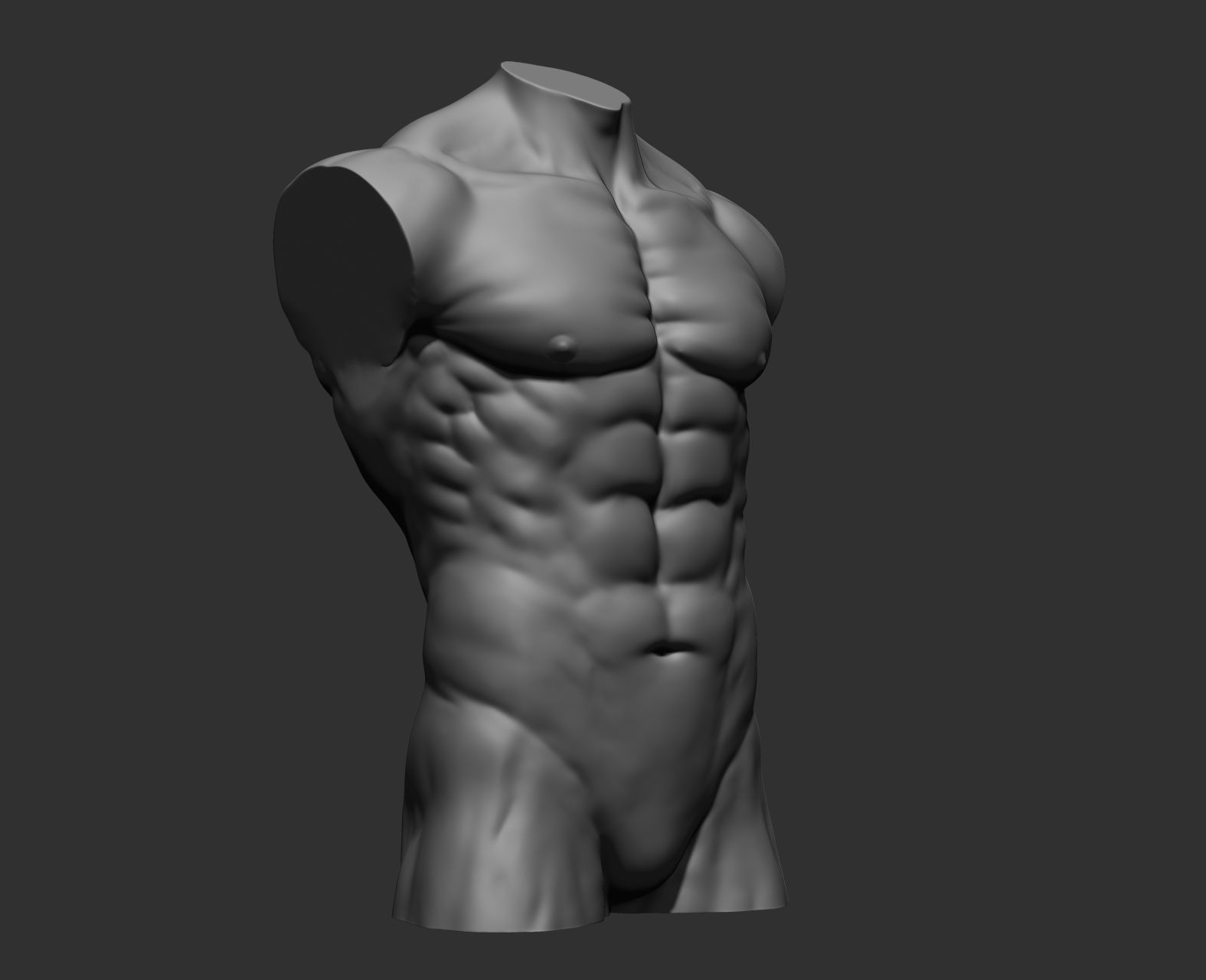 Torsos male torso Free 3D model_30
