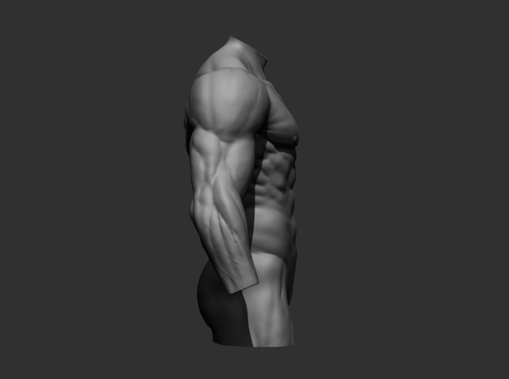 Torsos male torso Free 3D model_11