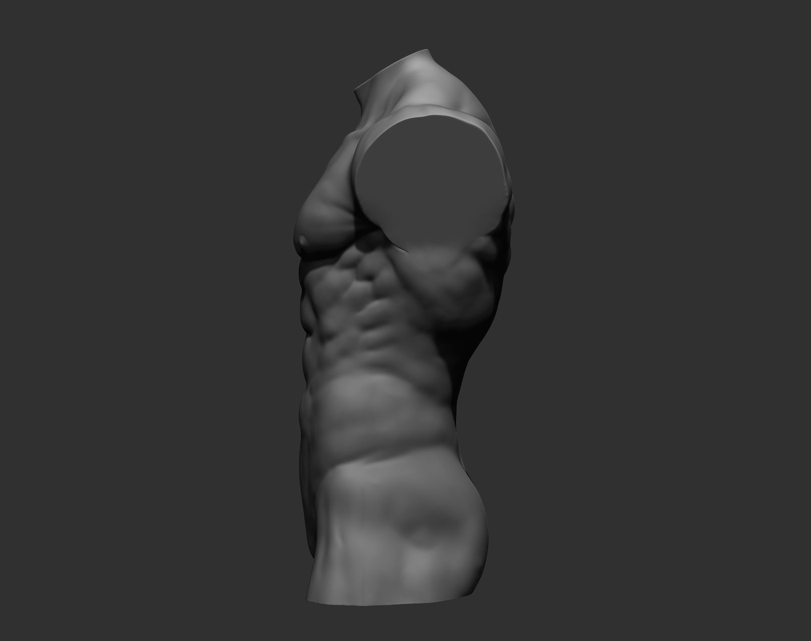Torsos male torso Free 3D model_26