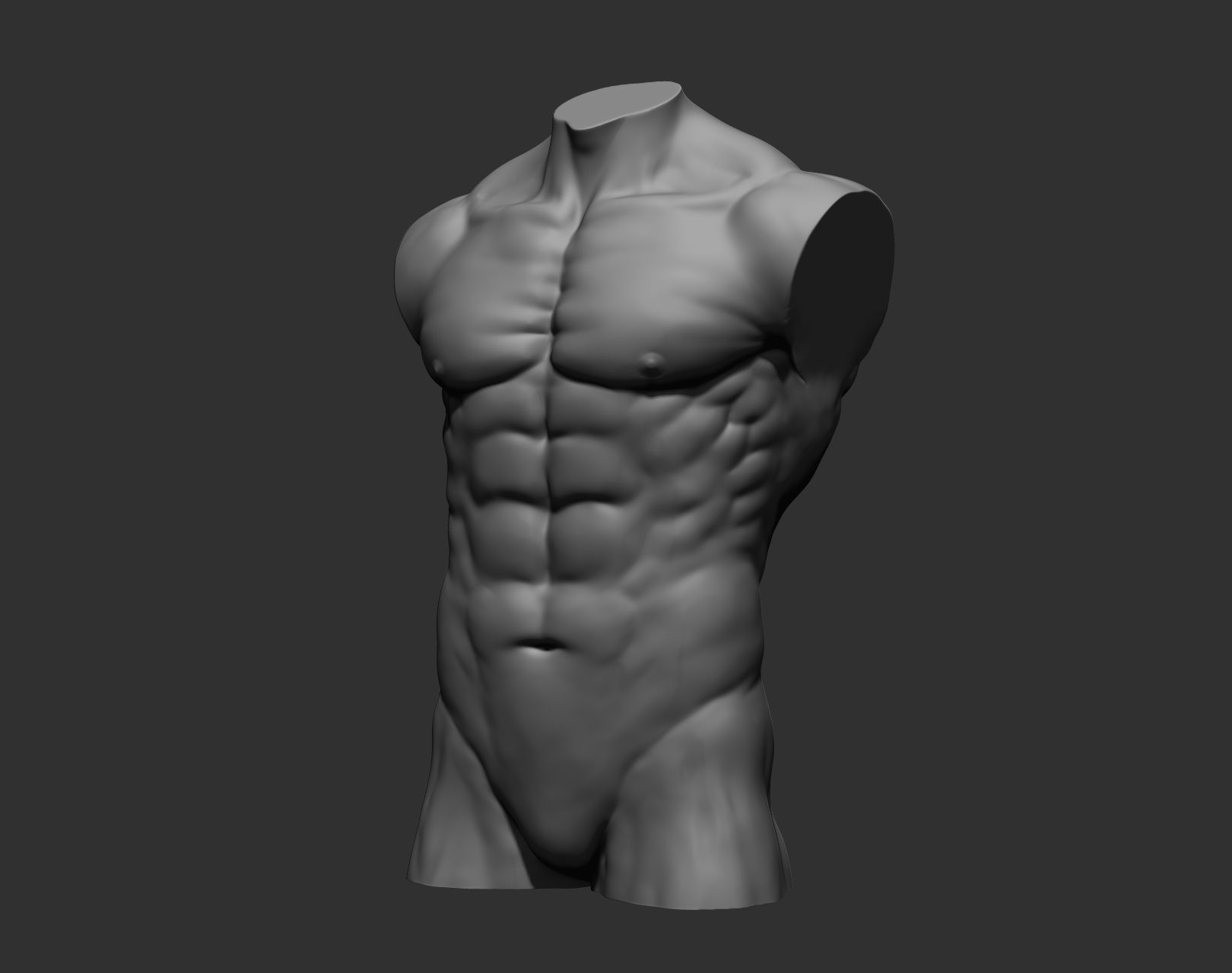 Torsos male torso Free 3D model_25