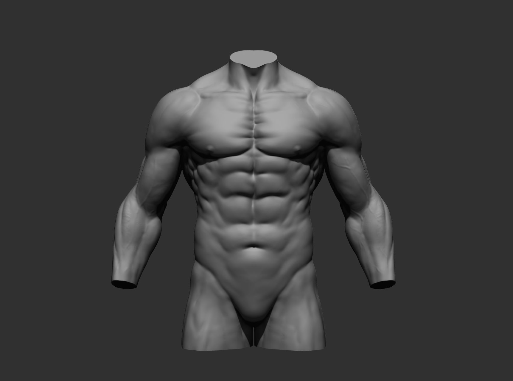 Torsos male torso Free 3D model_6