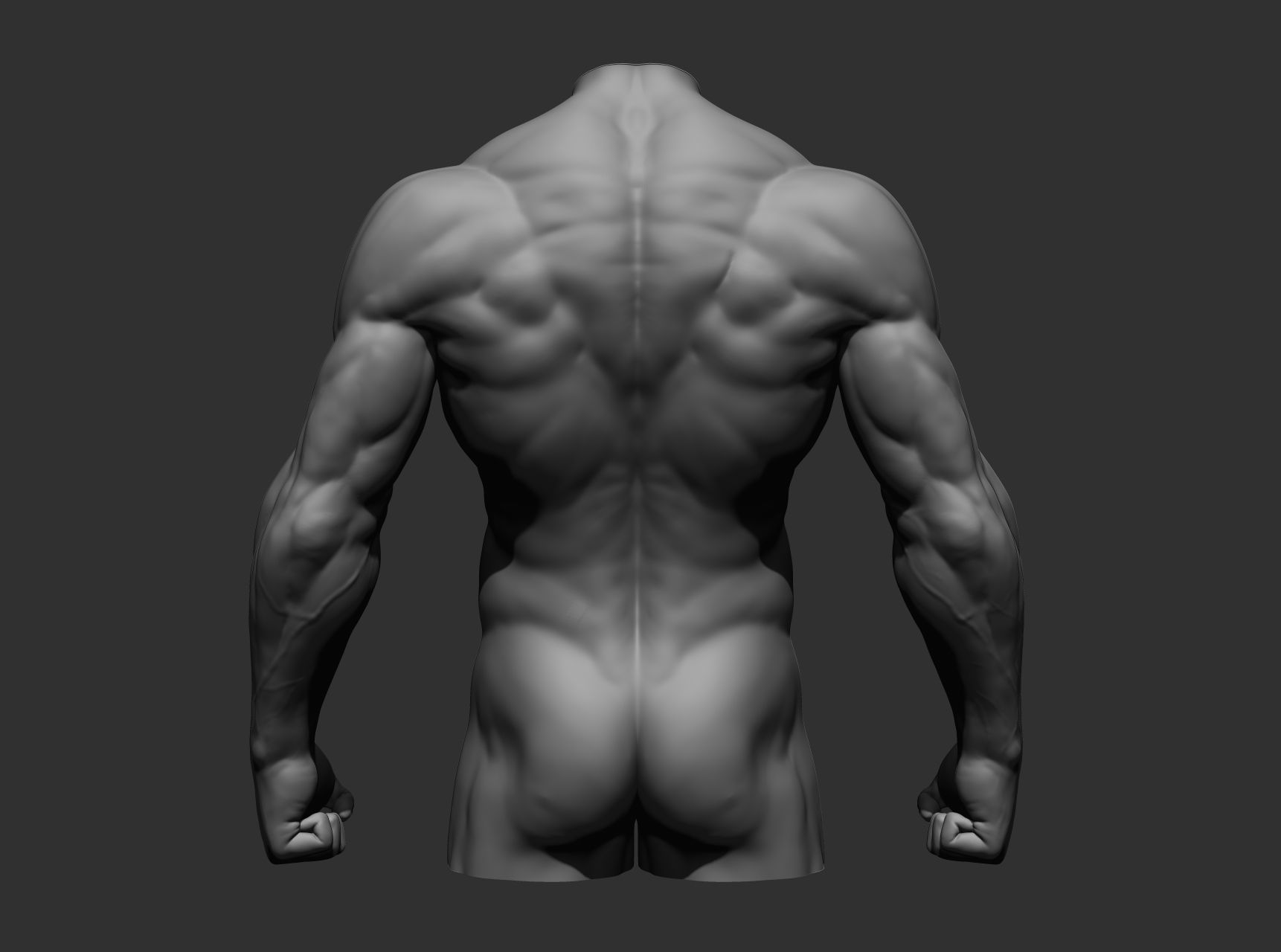 Torsos male torso Free 3D model_16
