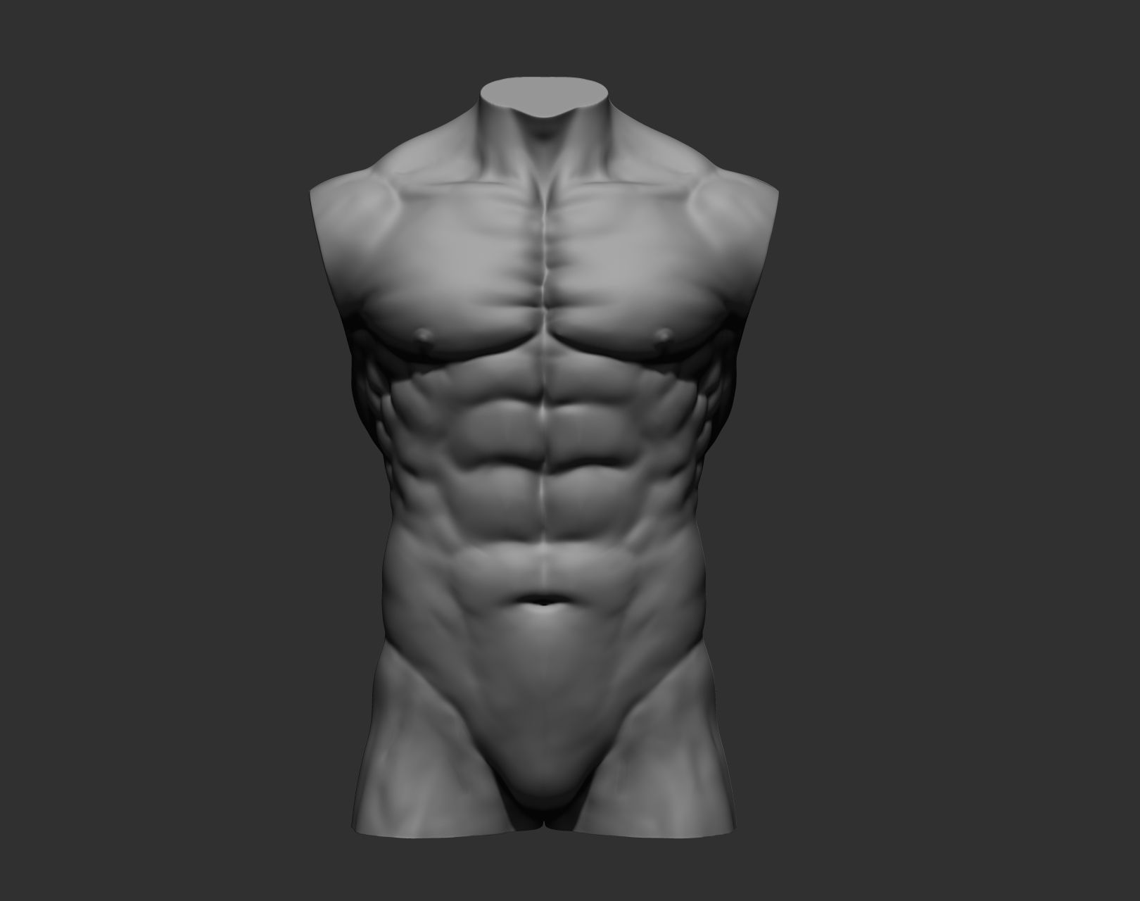 Torsos male torso Free 3D model_24