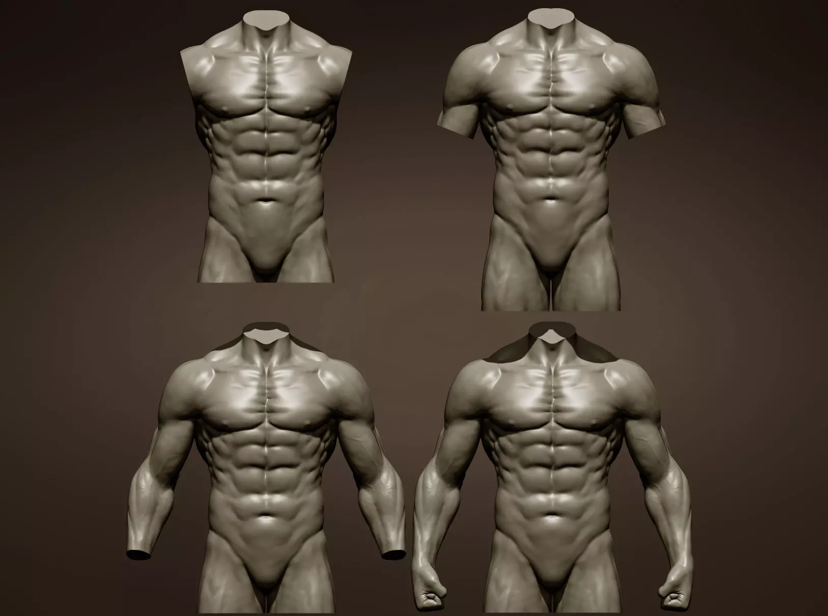 Torsos male torso Free 3D model_0