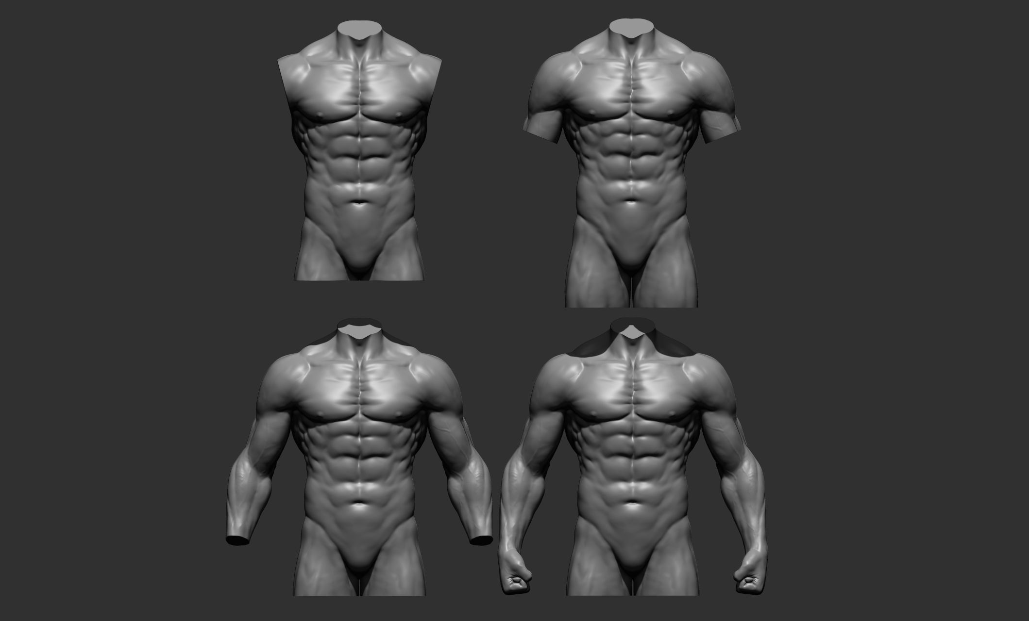 Torsos male torso Free 3D model_1