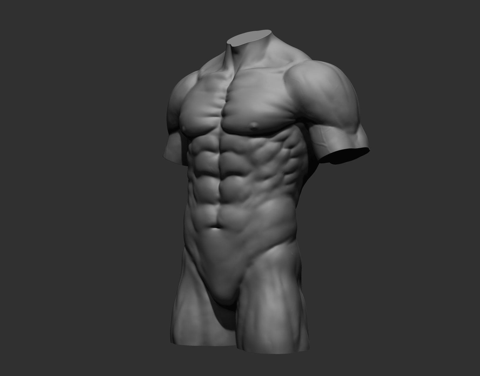 Torsos male torso Free 3D model_19