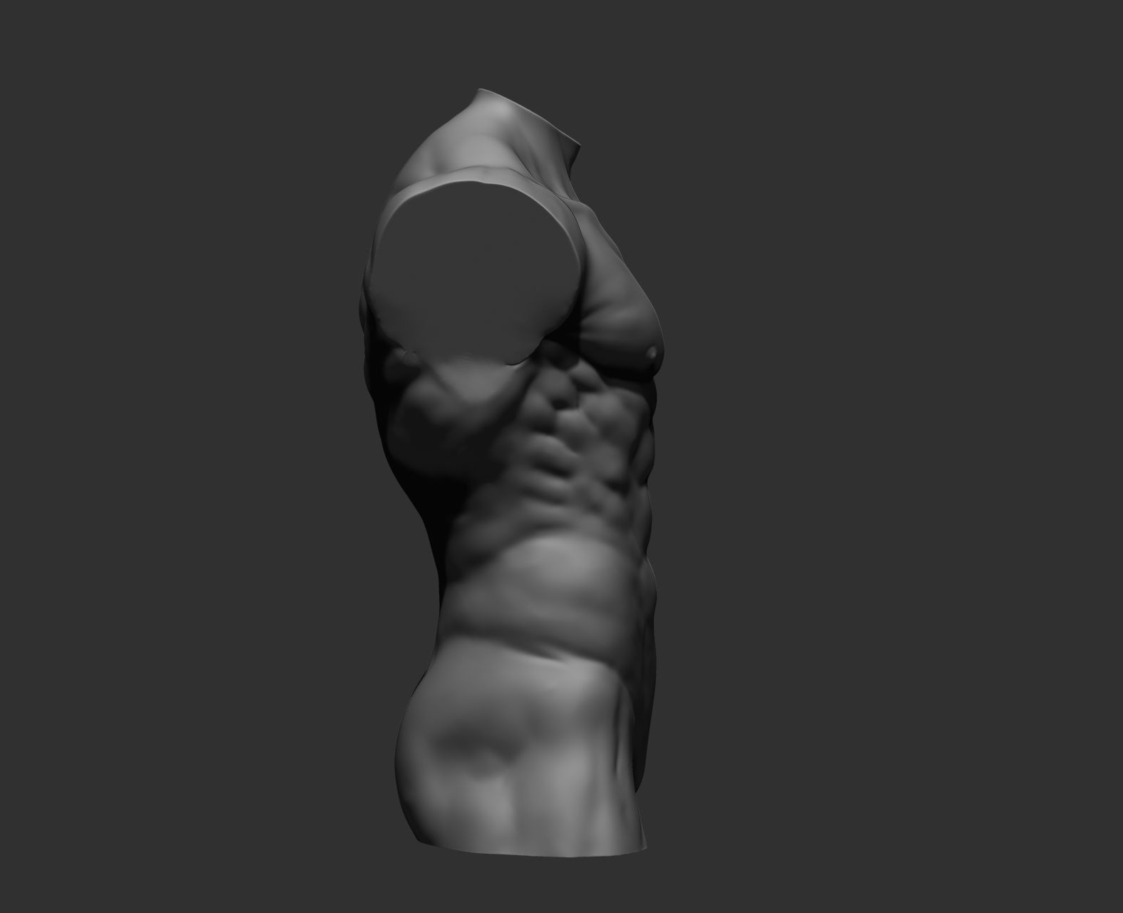 Torsos male torso Free 3D model_29
