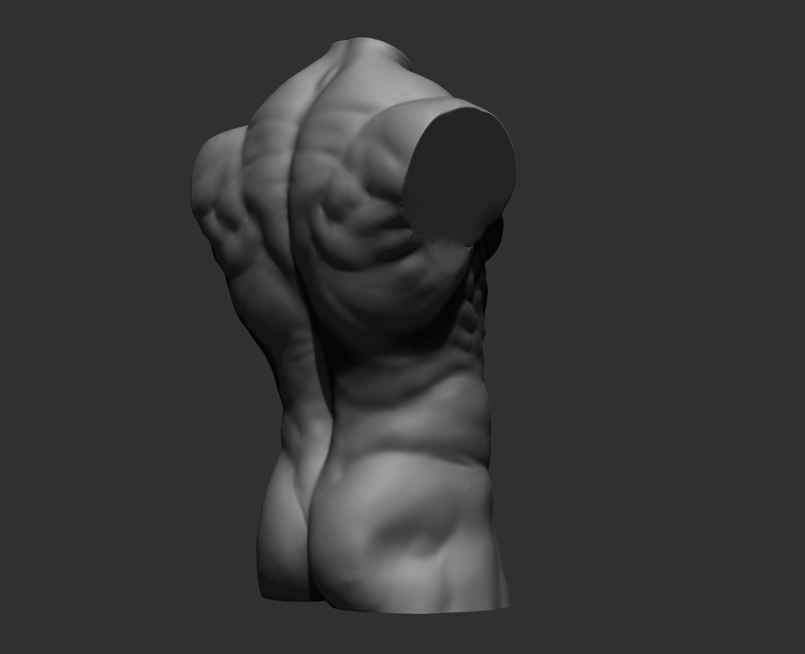 Torsos male torso Free 3D model_28