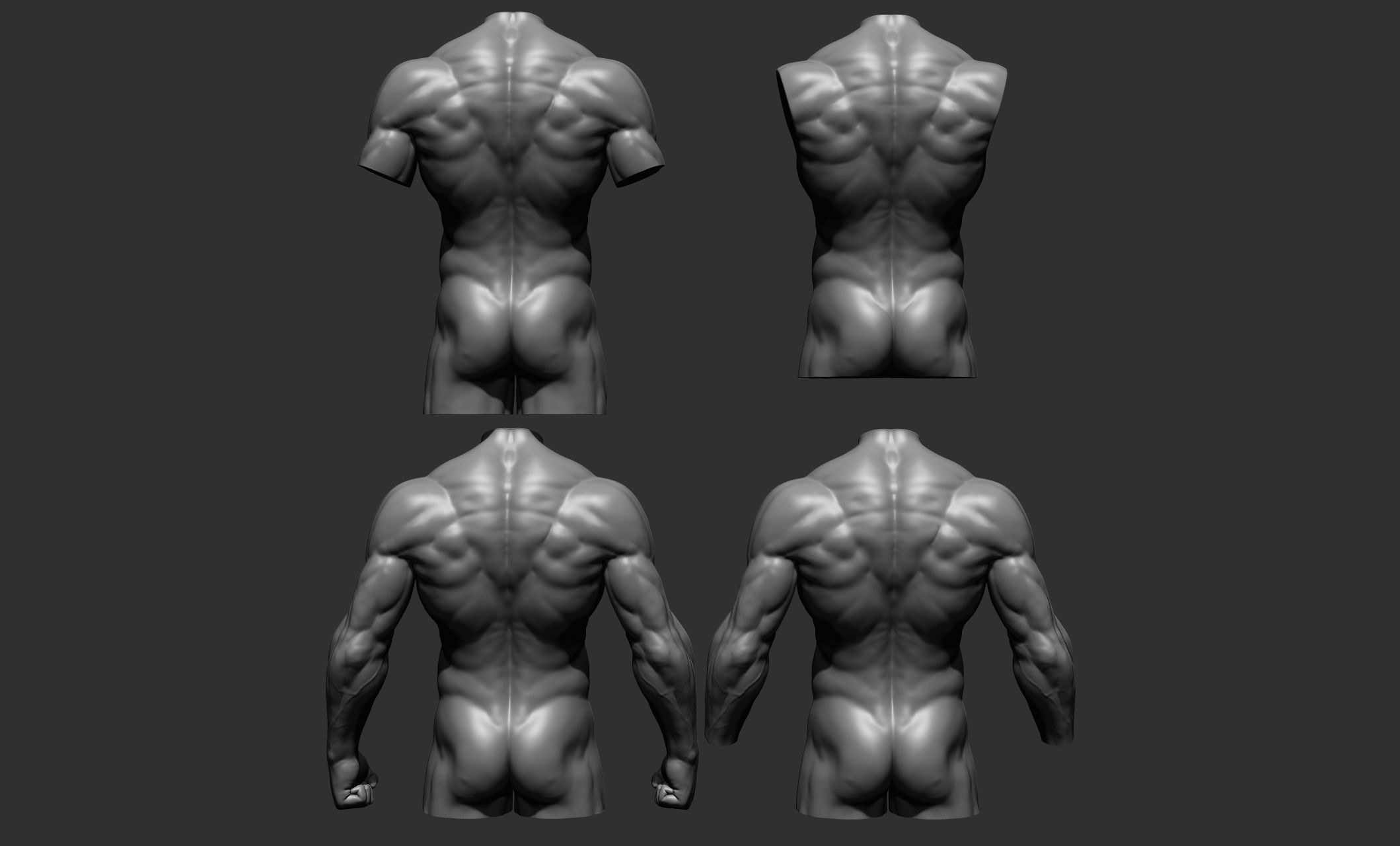 Torsos male torso Free 3D model_5