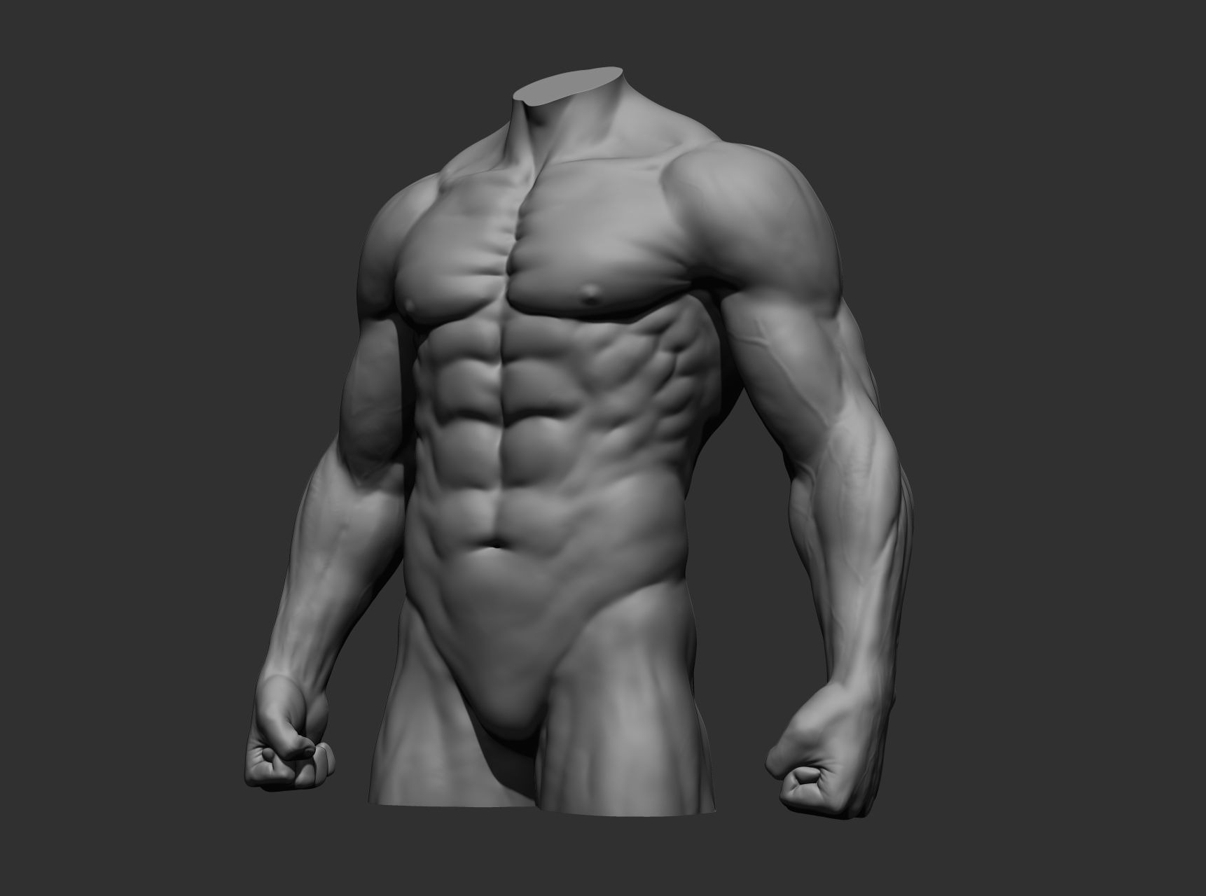 Torsos male torso Free 3D model_14