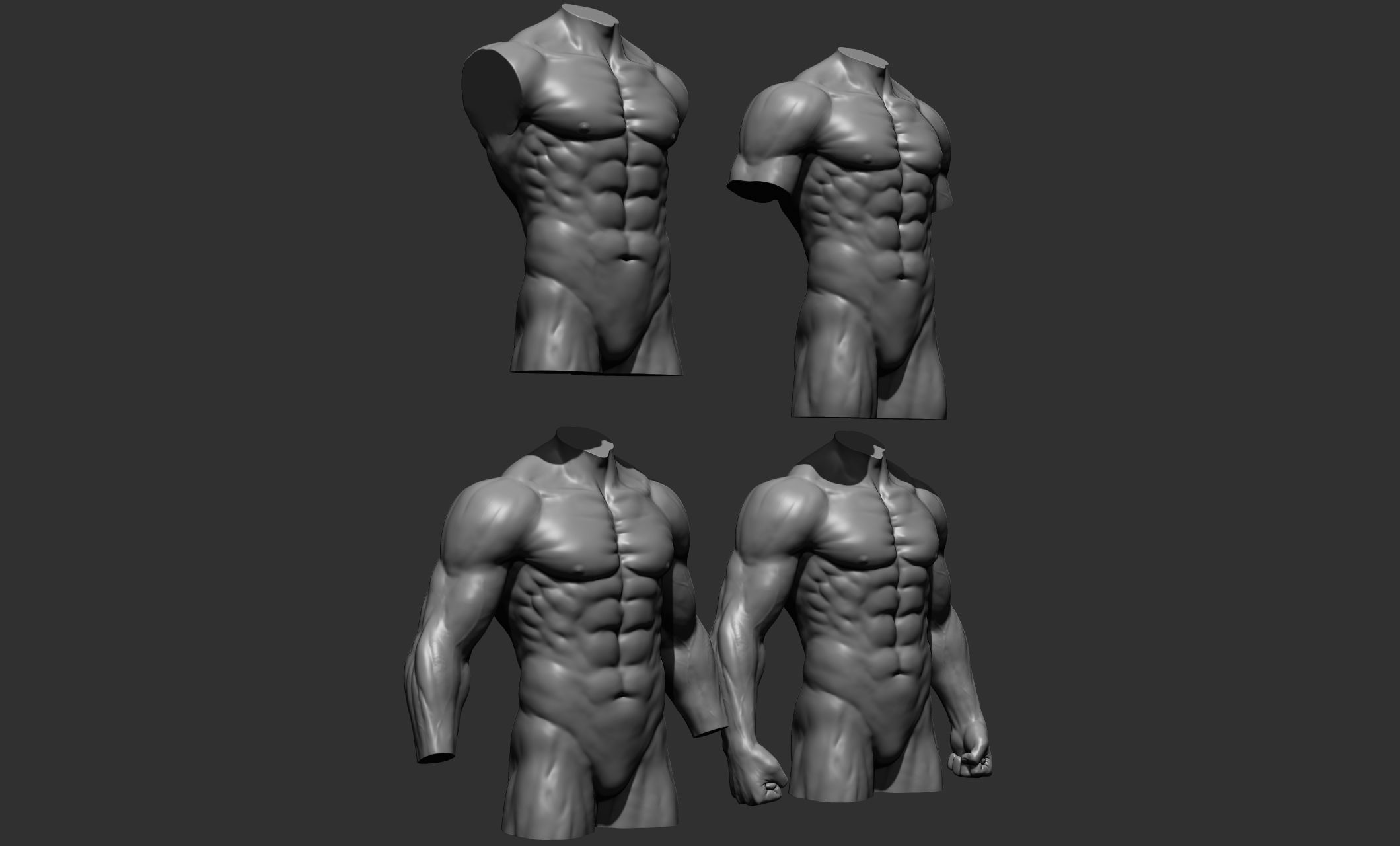 Torsos male torso Free 3D model_4