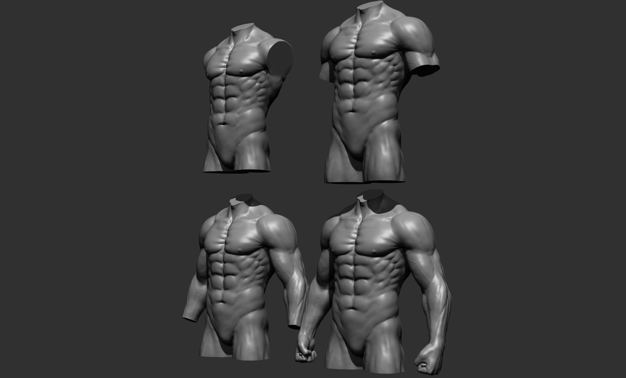 Torsos male torso Free 3D model_3