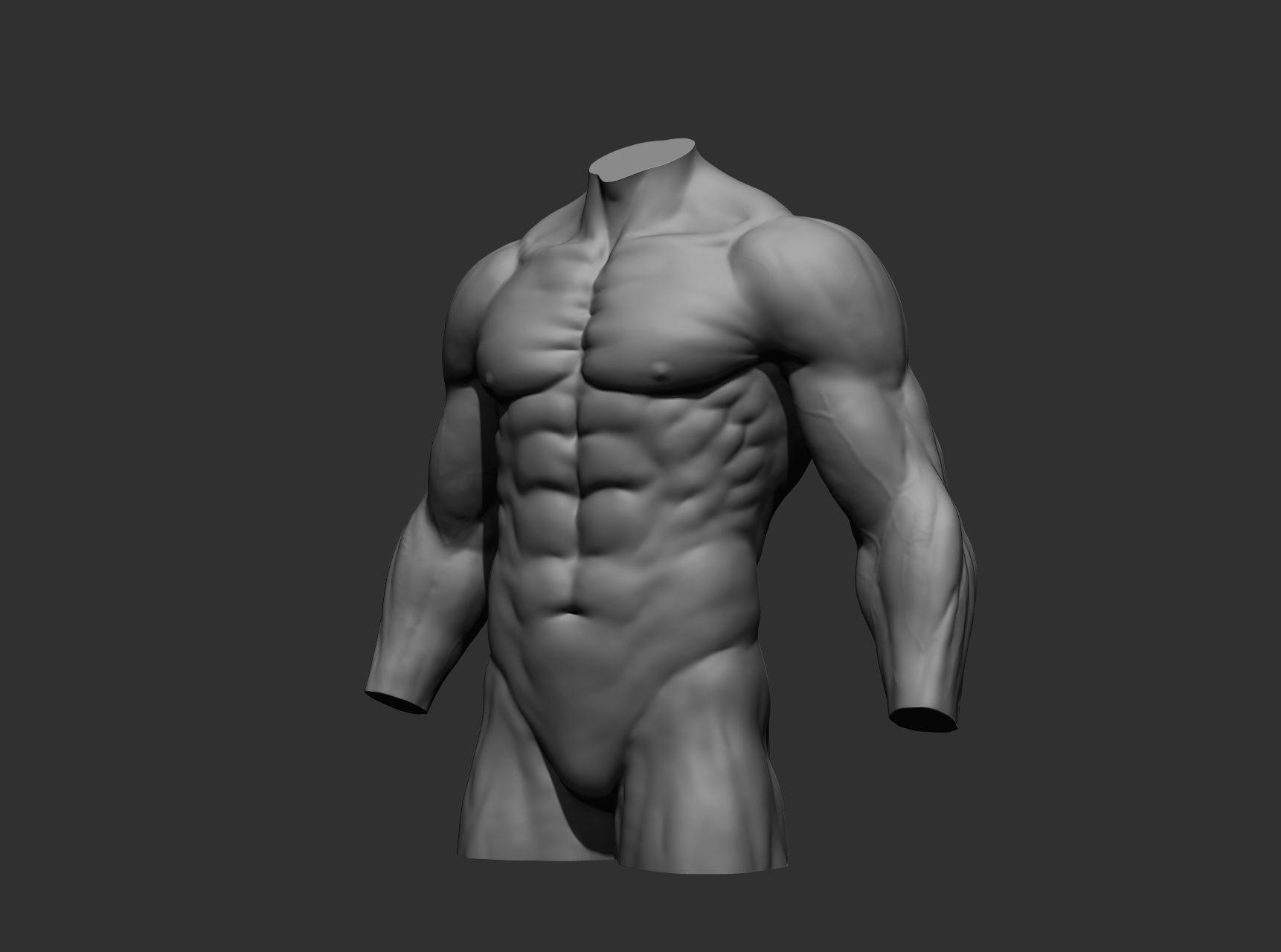 Torsos male torso Free 3D model_7