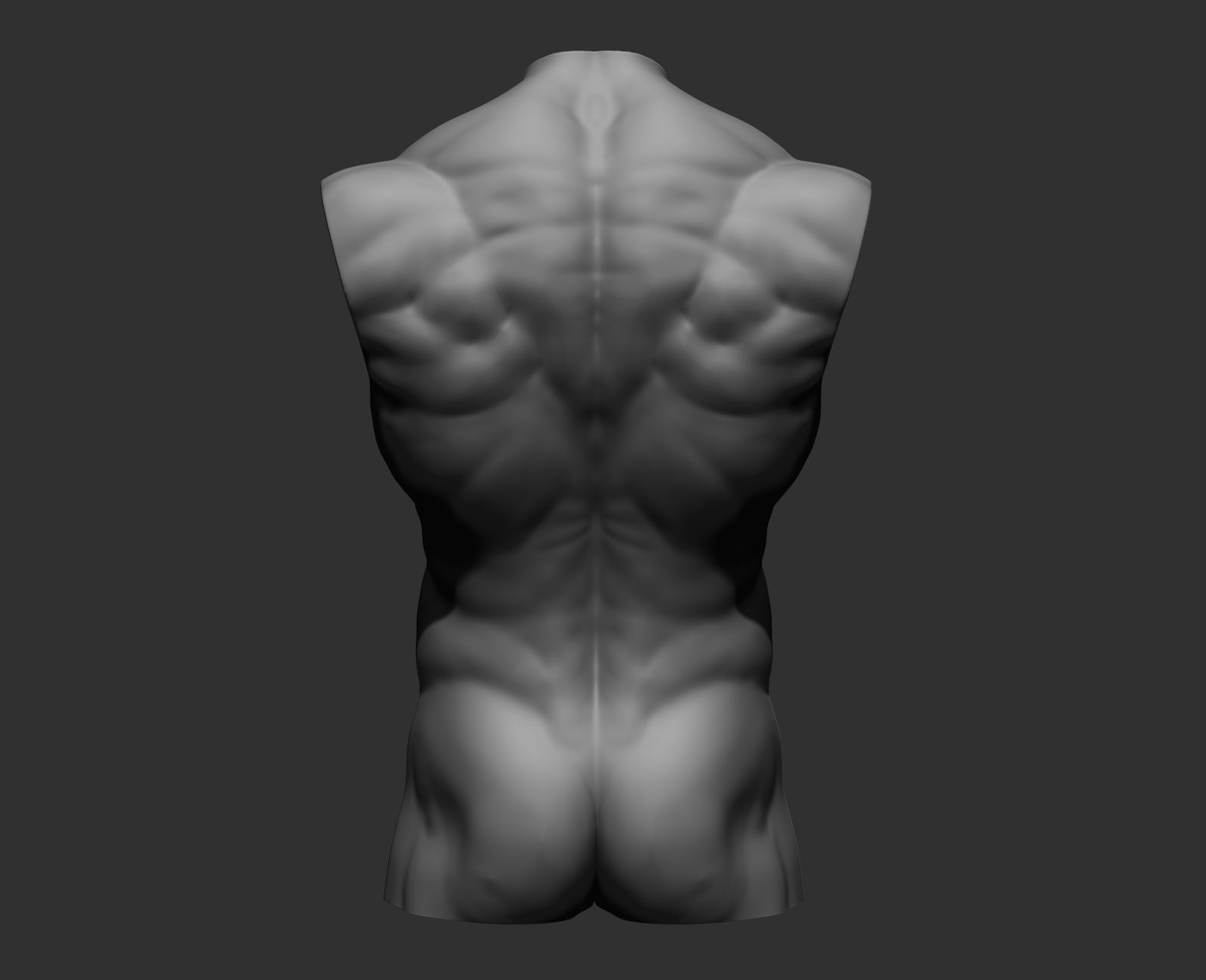 Torsos male torso Free 3D model_27