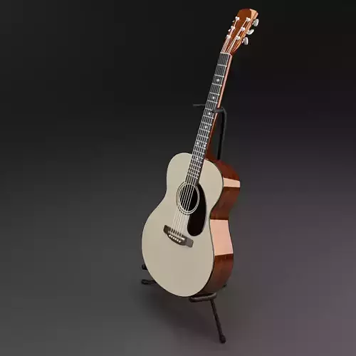 Acoustic Guitar with Stand