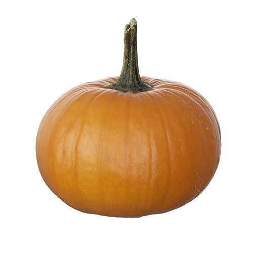 Scanned pumpkins 3D Model Pack 3