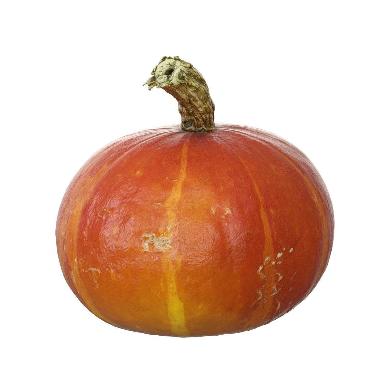 Scanned pumpkins 3D Model Collection_11