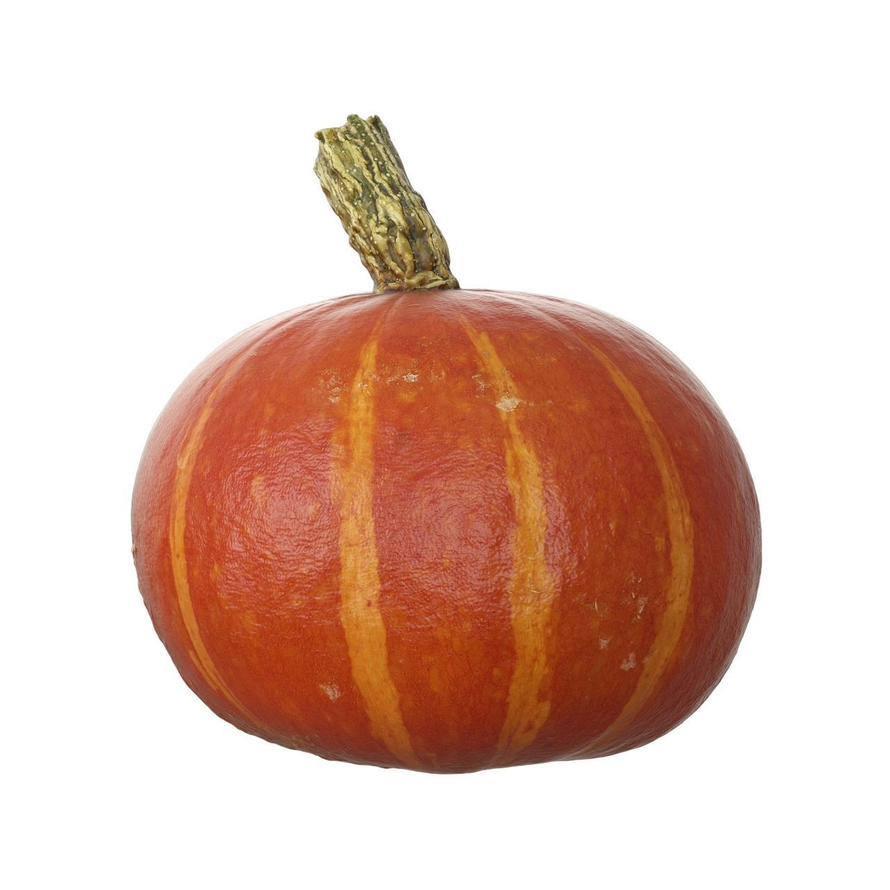 Scanned pumpkins 3D Model Collection_12