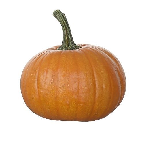 Scanned pumpkins 3D Model Pack 4