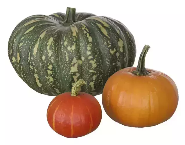 Scanned pumpkins 3D Model Collection