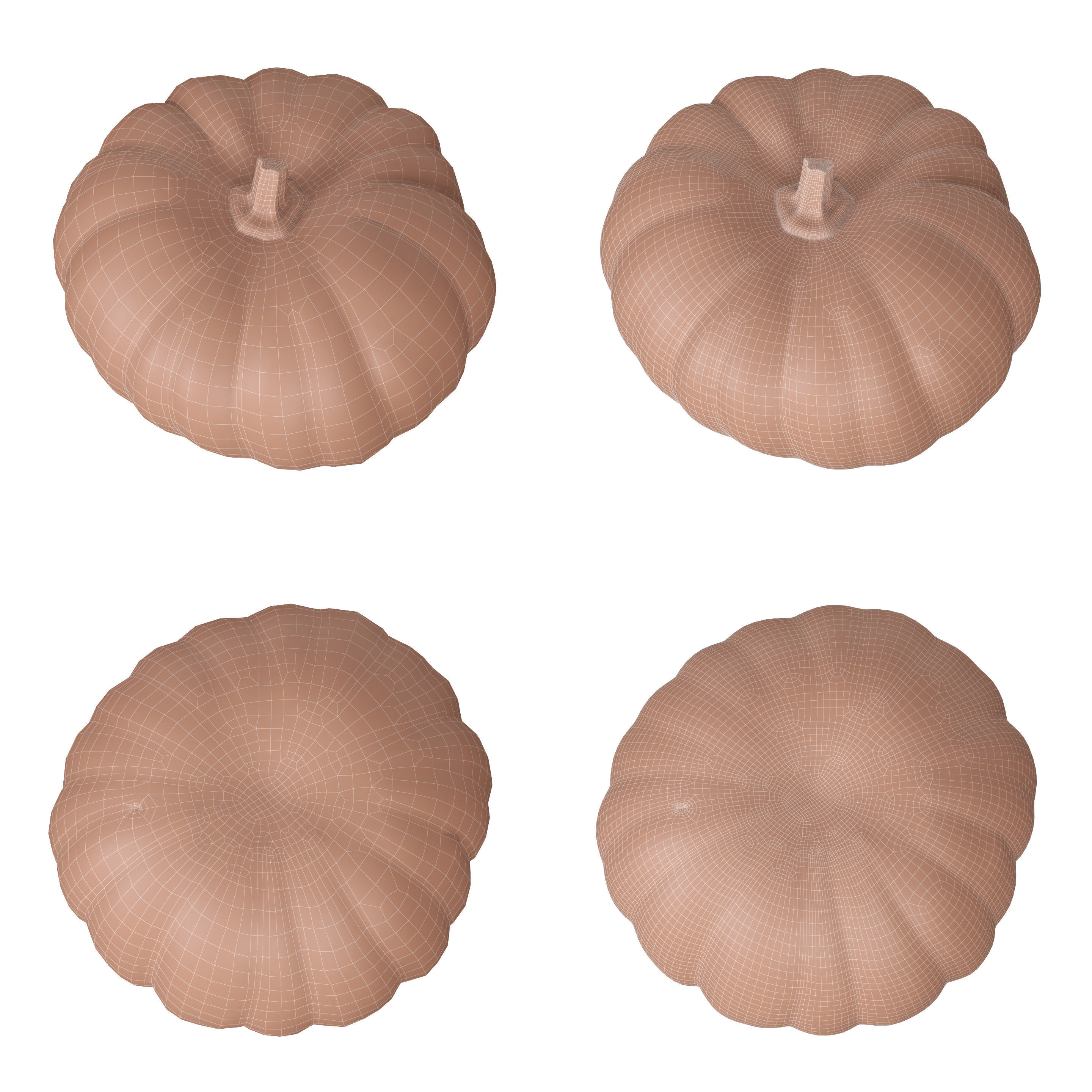 Scanned pumpkins 3D Model Collection_24