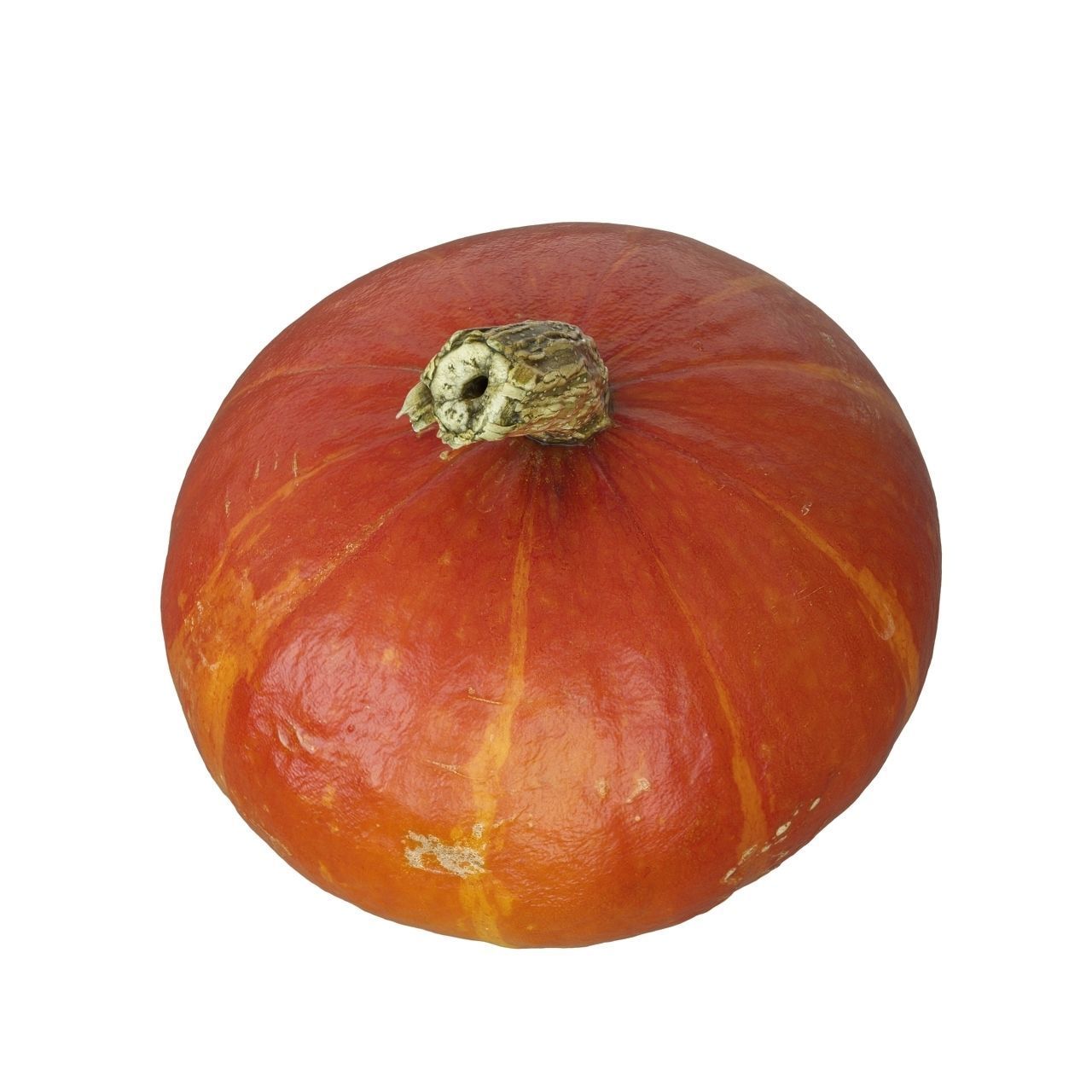 Scanned pumpkins 3D Model Collection_13