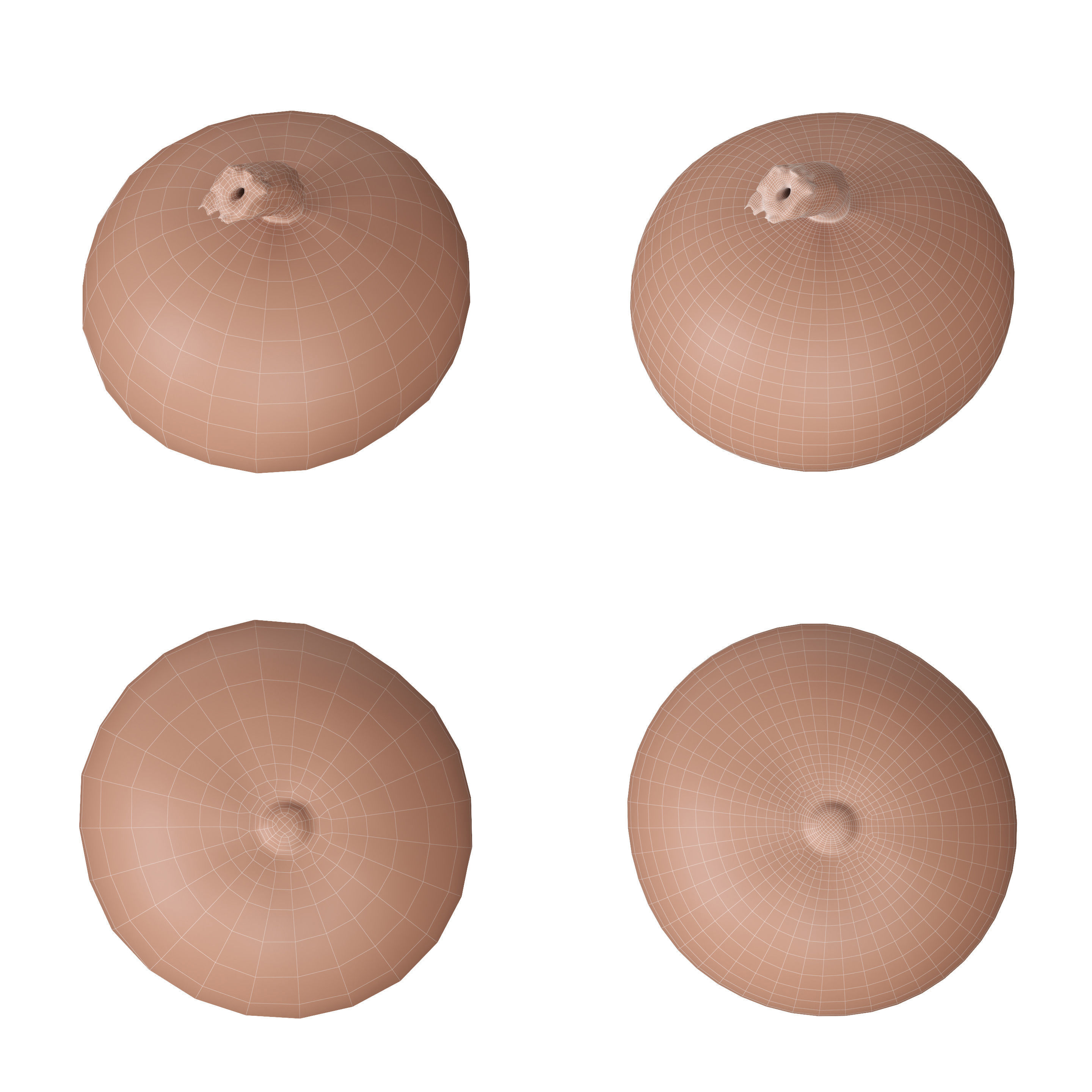 Scanned pumpkins 3D Model Collection_20