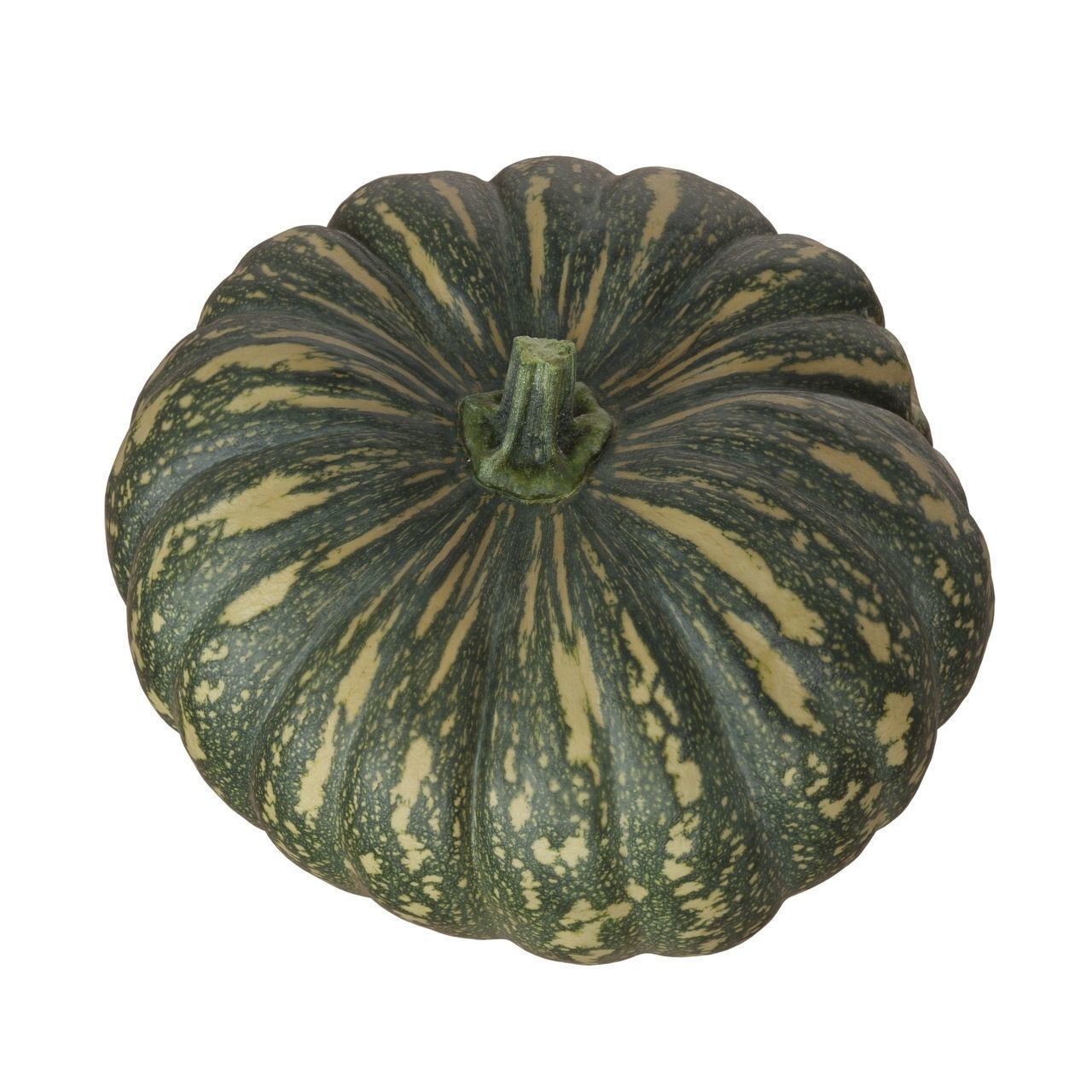 Scanned pumpkins 3D Model Collection_17