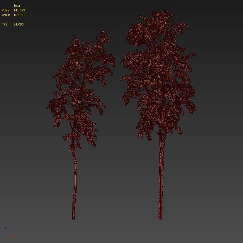 Birch tree set 6 3D model_5