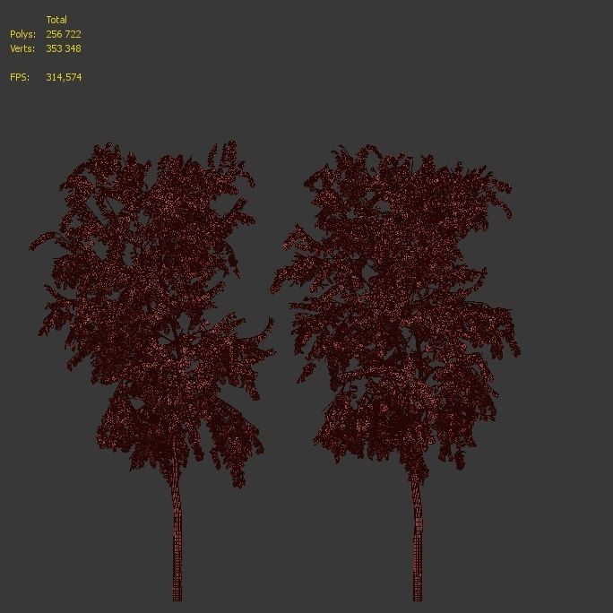 Birch tree set 10 3D model_6