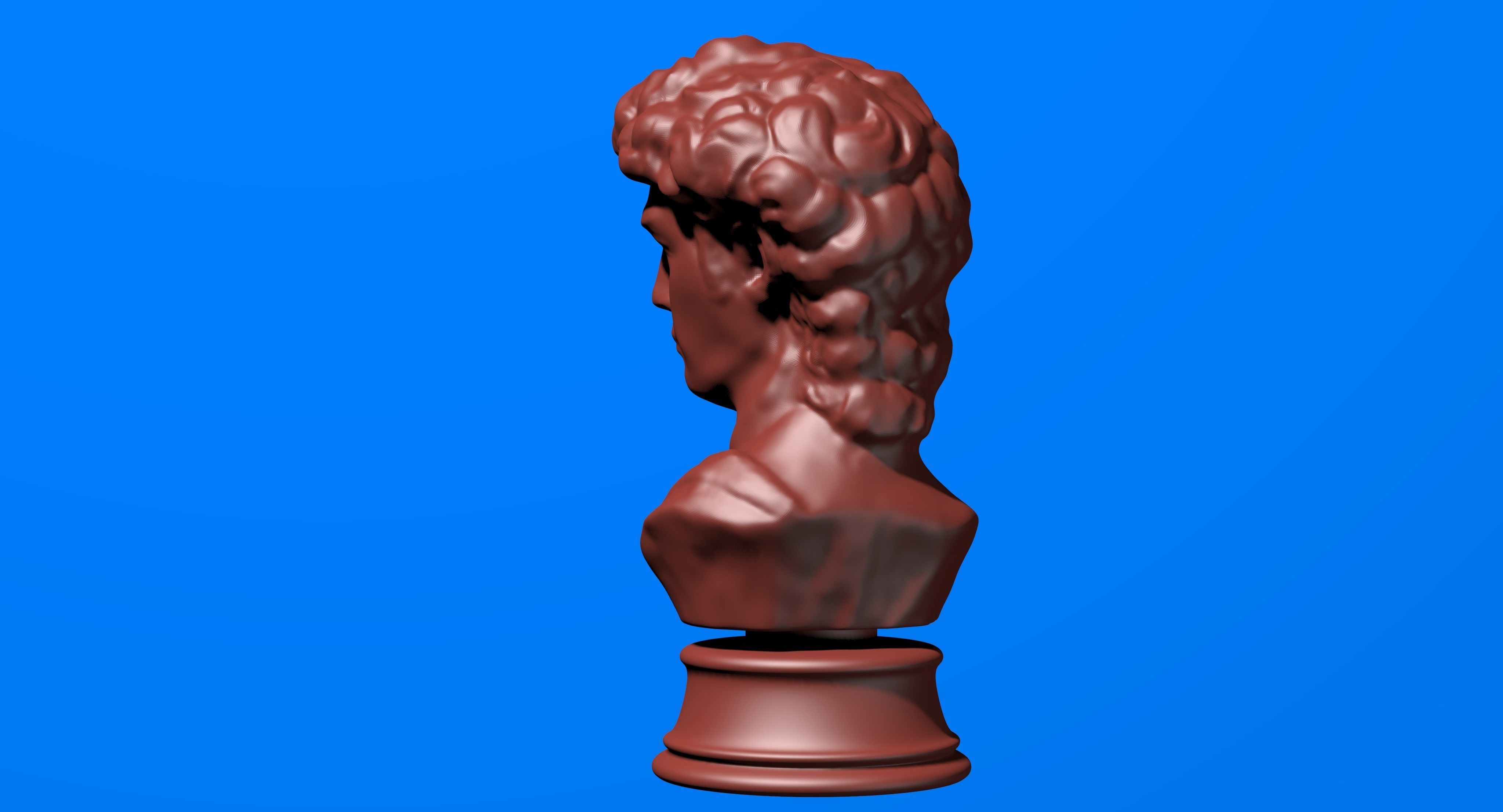 David Bust 3d Printer 3D print model_7