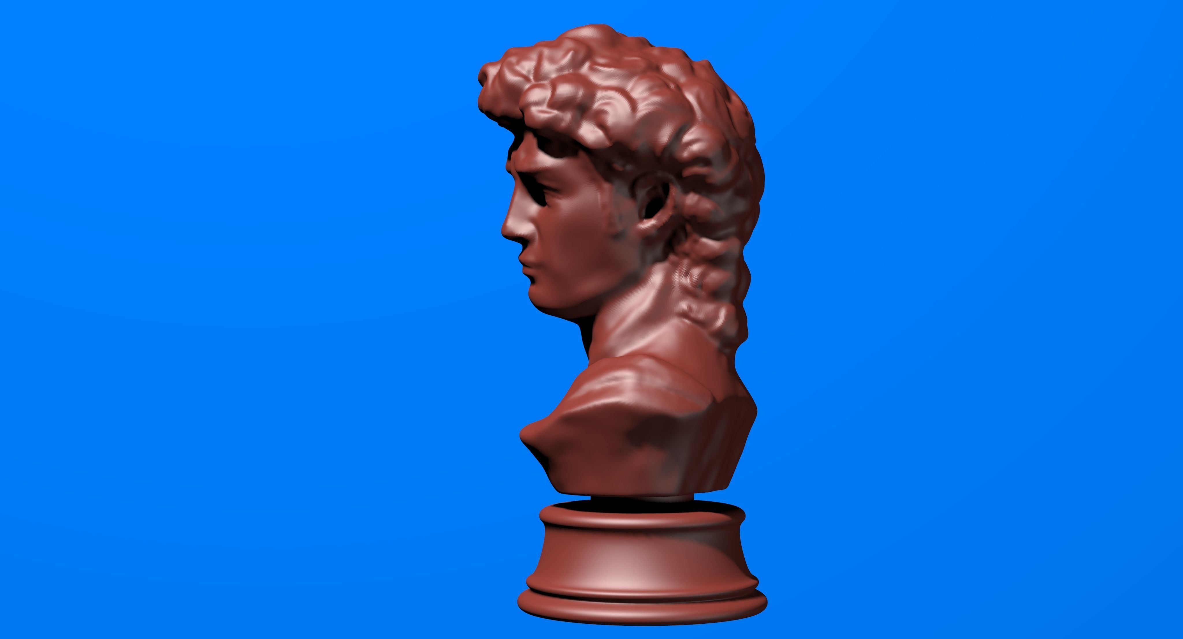 David Bust 3d Printer 3D print model_6
