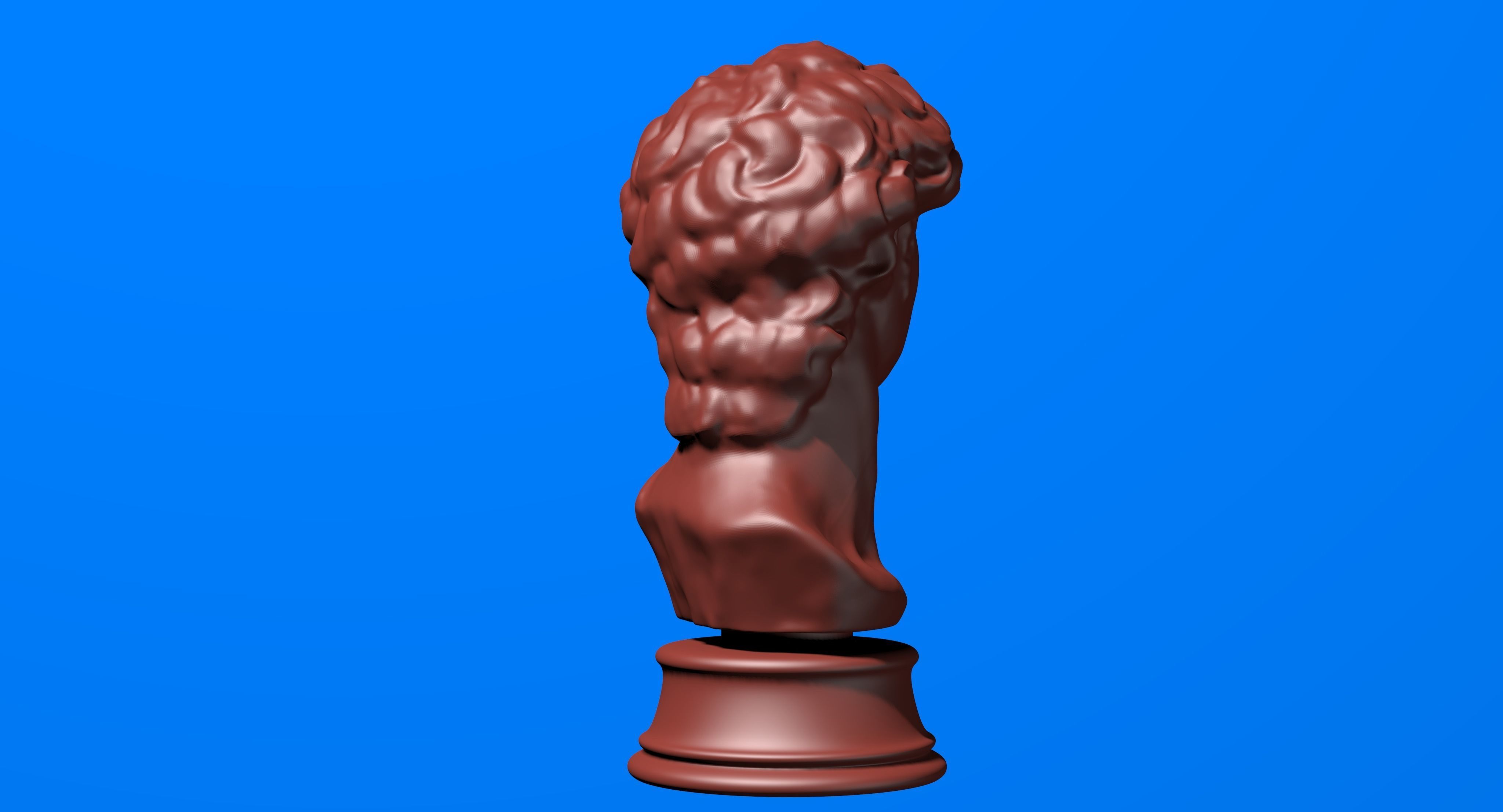 David Bust 3d Printer 3D print model_9