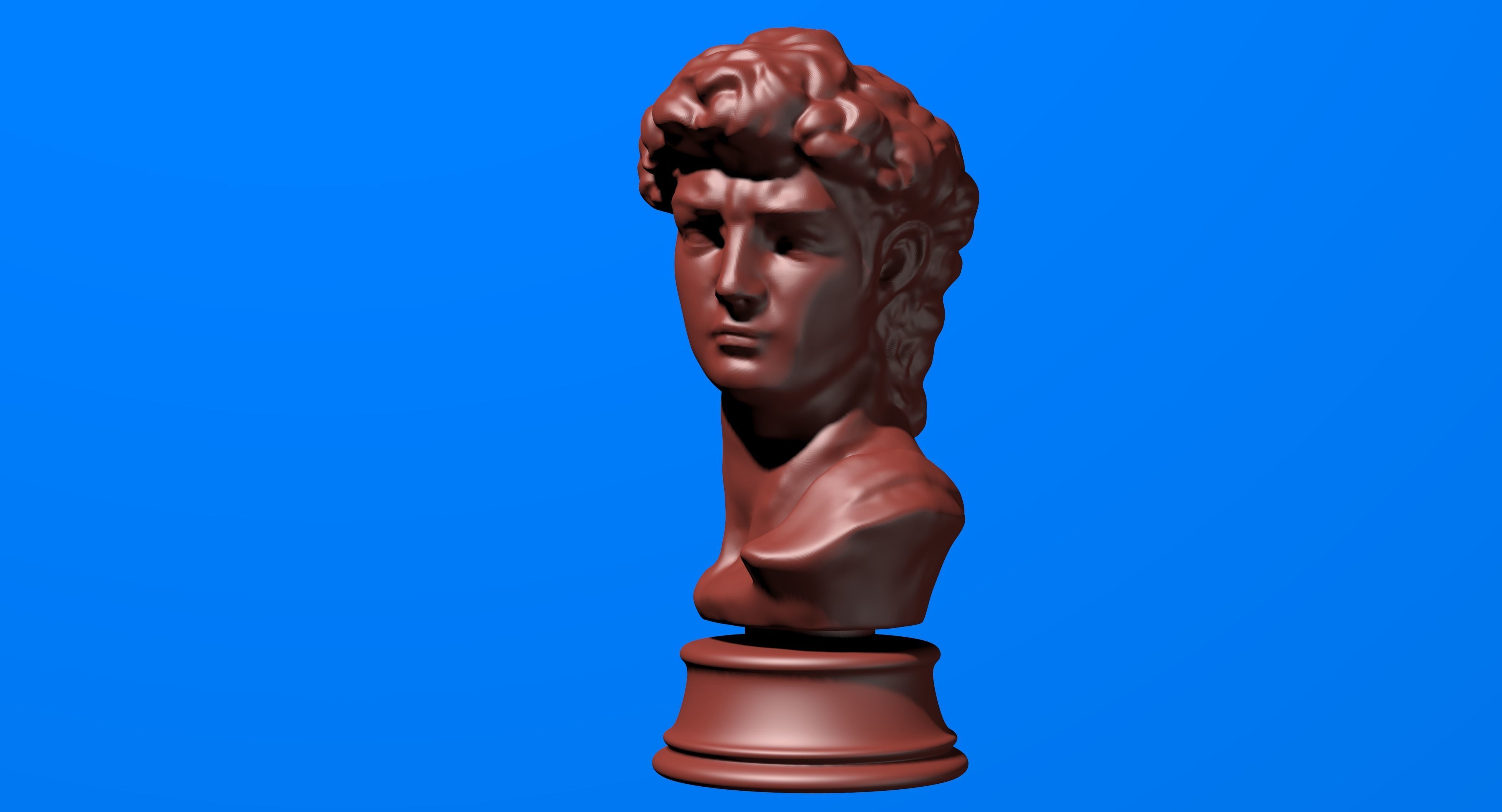 David Bust 3d Printer 3D print model_5