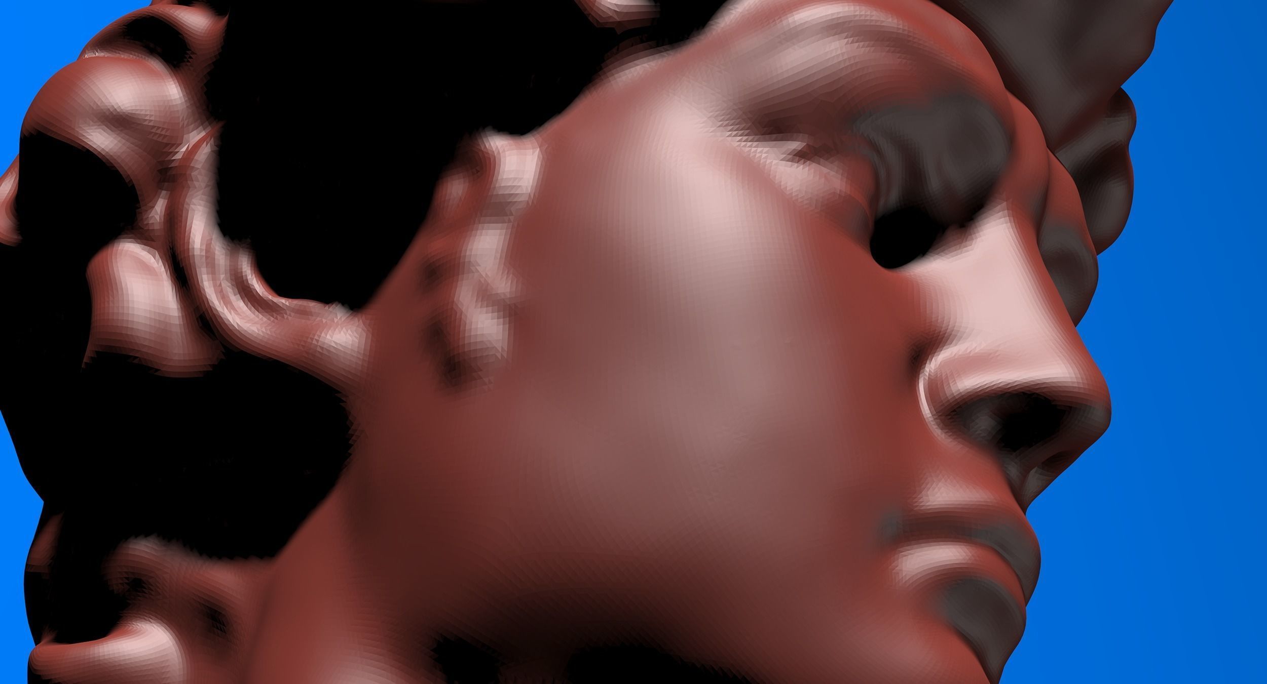 David Bust 3d Printer 3D print model_1