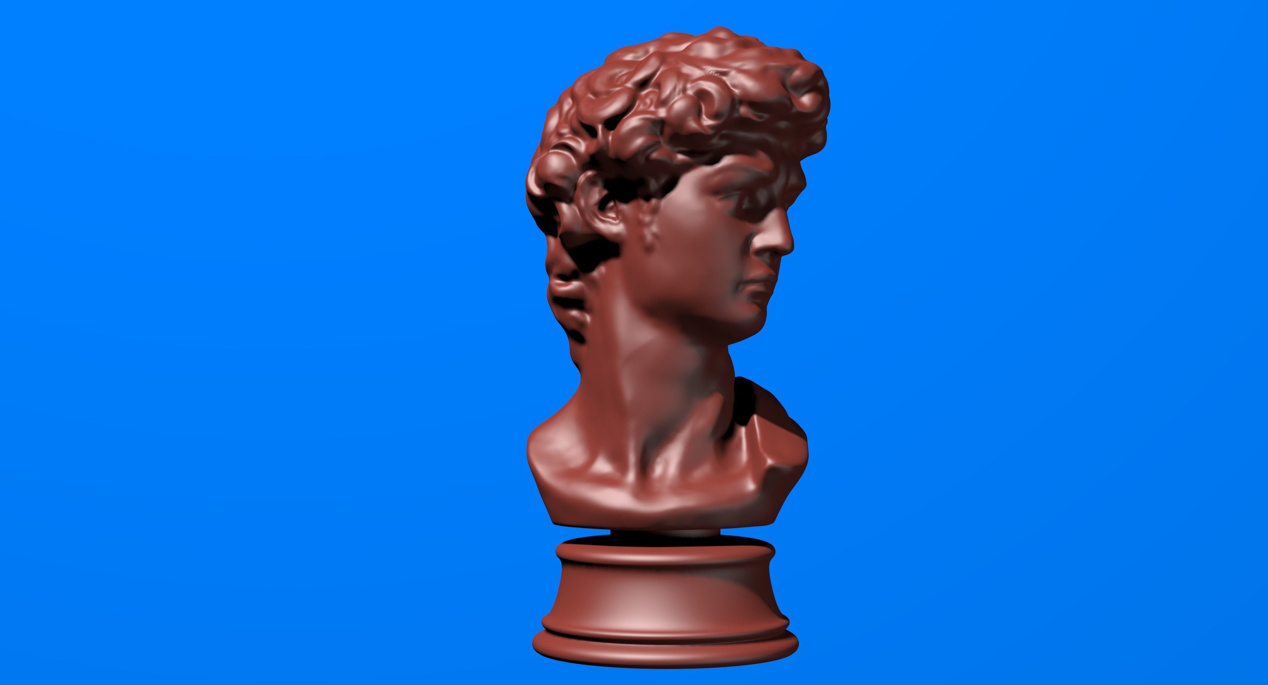 David Bust 3d Printer 3D print model_4