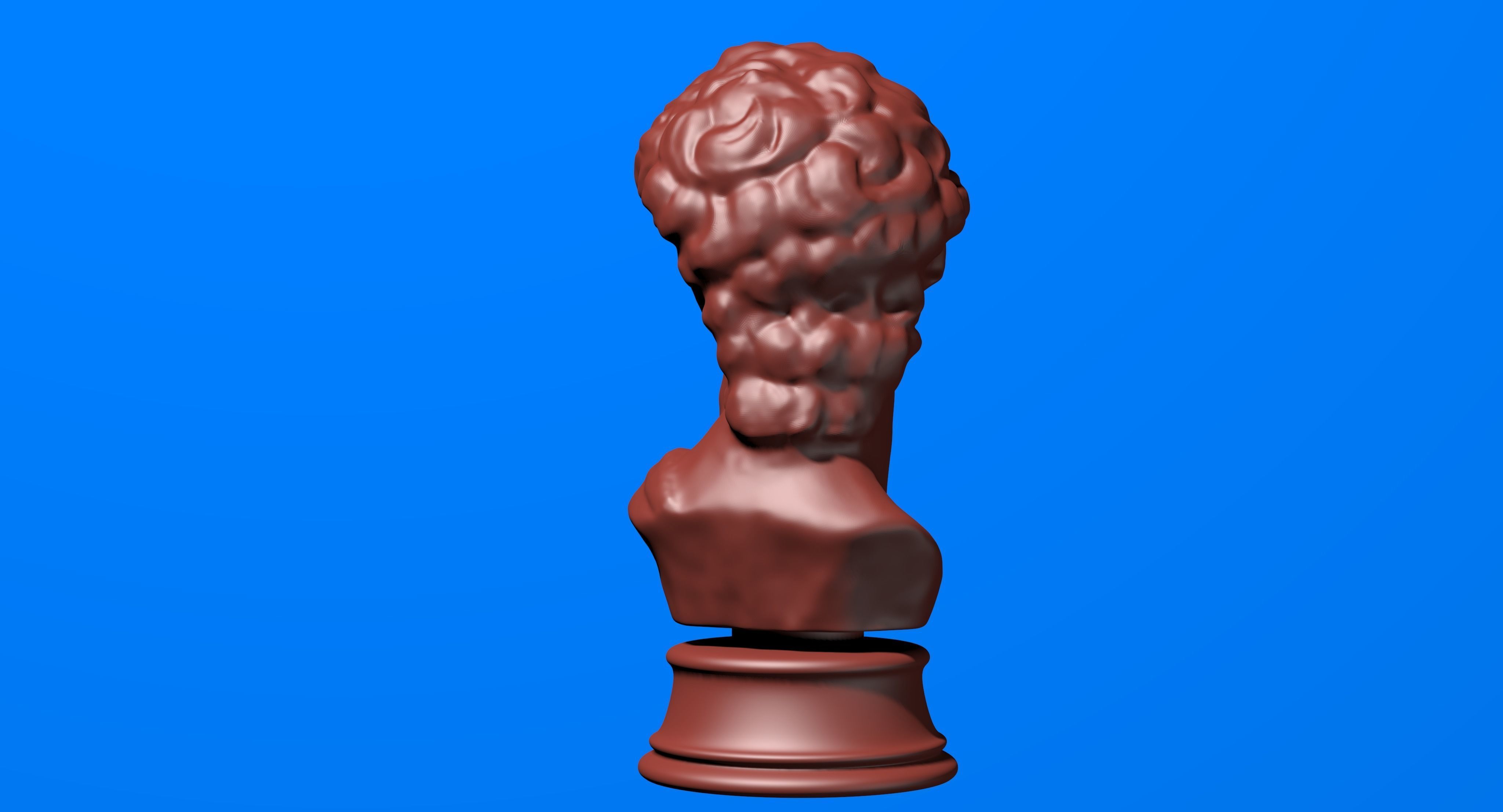 David Bust 3d Printer 3D print model_8