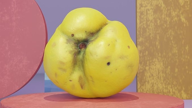Quince fruit 06 high-poly 3D model 7