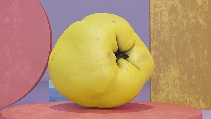 Quince fruit 06 high-poly 3D model 4
