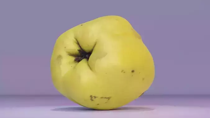 Quince fruit 06 high-poly 3D model