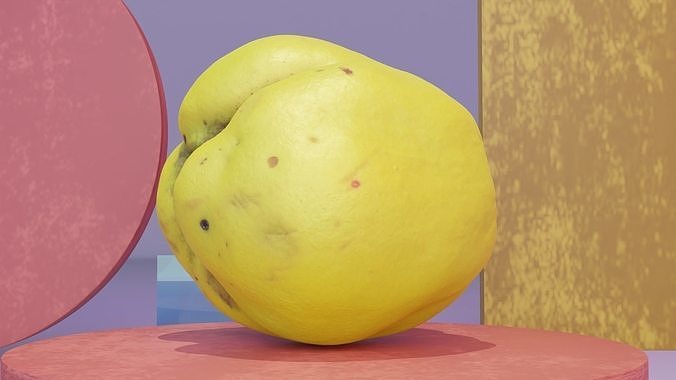 Quince fruit 06 high-poly 3D model 6