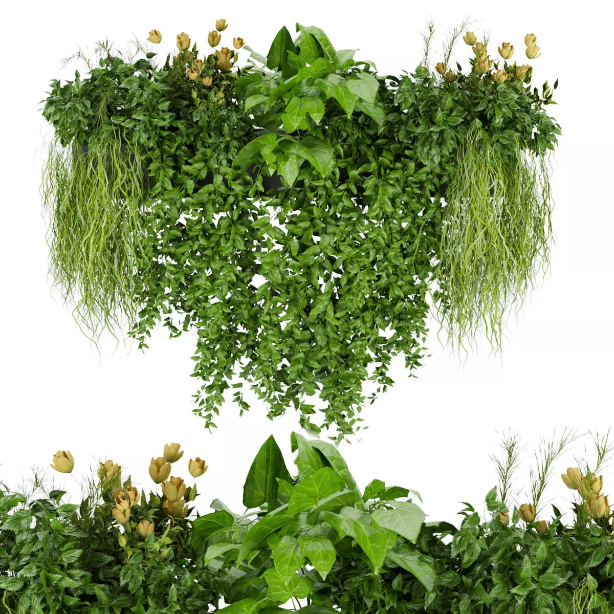 Collection plant vol 252 - indoor 3D model