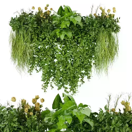 Collection plant vol 252 - indoor