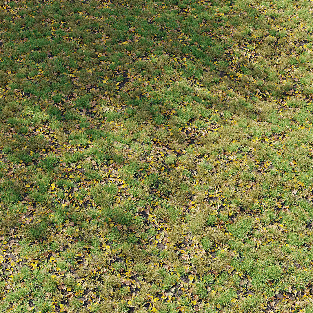 Autumn Grass 01 3D model_1