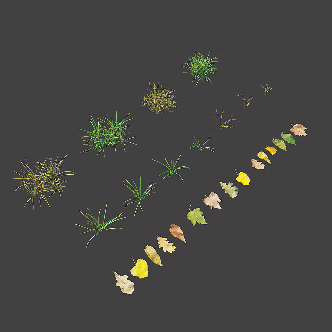Autumn Grass 01 3D model_3
